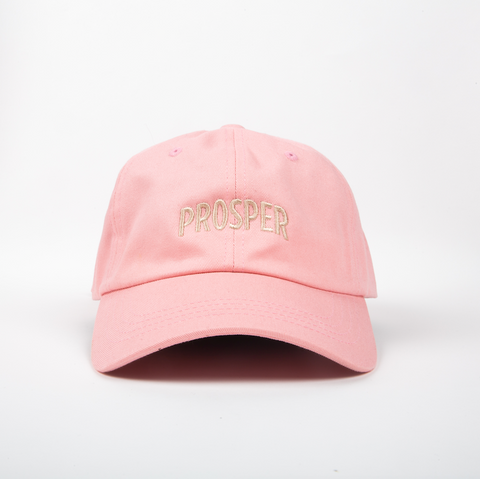 NECESSARY DAD HAT (PINK)