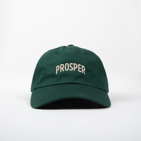 NECESSARY DAD HAT (SPRUCE GREEN)