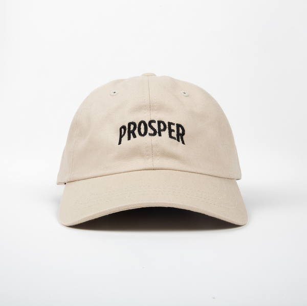 NECESSARY DAD HAT (STONE)