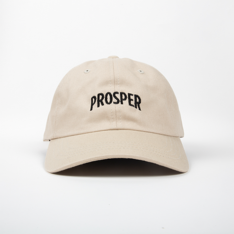NECESSARY DAD HAT (STONE)