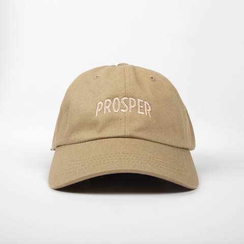 NECESSARY DAD HAT (KHAKI)