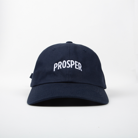 NECESSARY DAD HAT (NAVY)