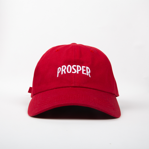 NECESSARY DAD HAT (RED)