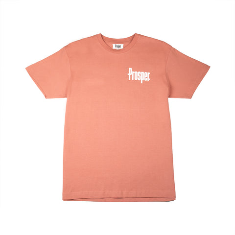 JERSEY FUCKIN CITY 2 S/S TEE (DUSTY ROSE)