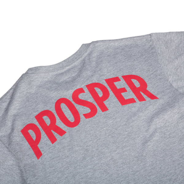 BOOTLEG S/S TEE (HEATHER/RED)