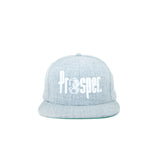Prosper x Starter 'Logo' Cap (Heather Grey)
