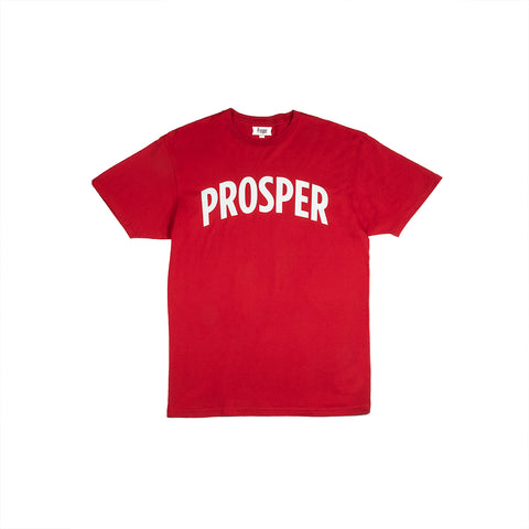 NECESSARY 3 S/S TEE (CARDINAL RED)