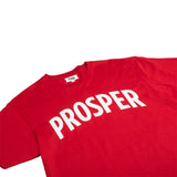 NECESSARY 3 S/S TEE (CARDINAL RED)